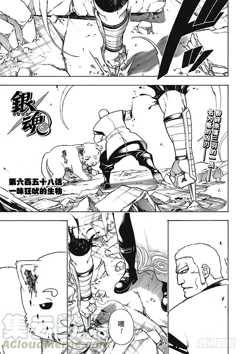 第658话 一味狂吠的生物 第1页