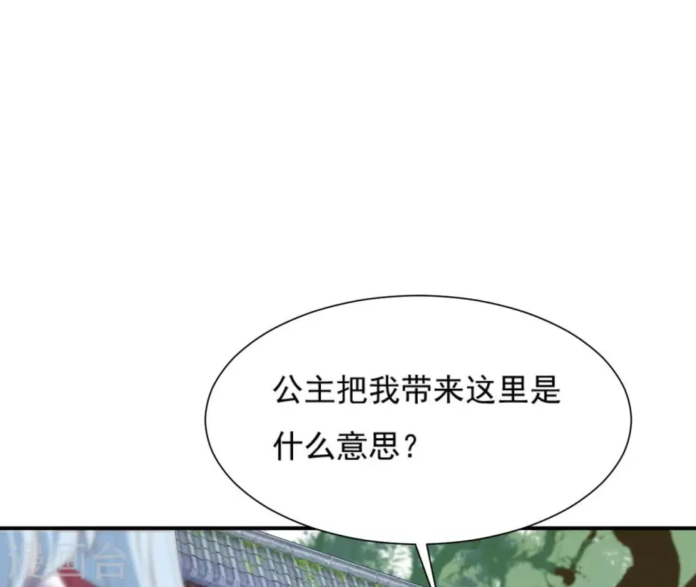 第60话 公主要出宫 第40页