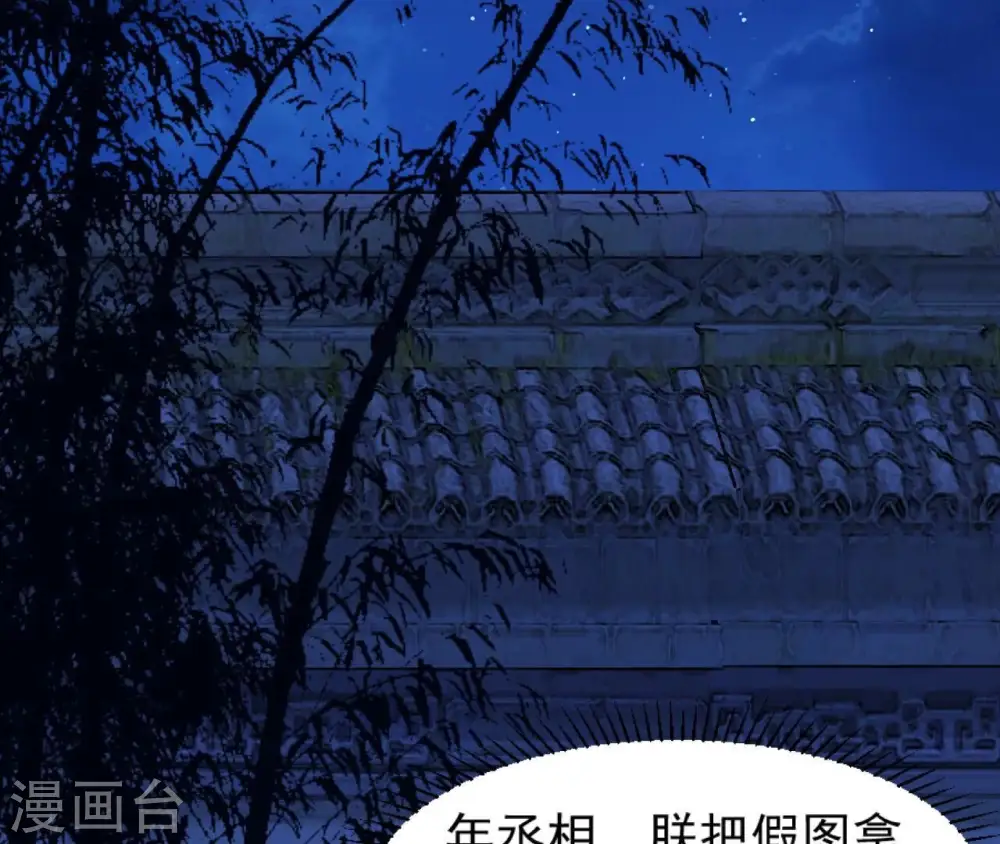 第52话 遭遇刺客 第29页