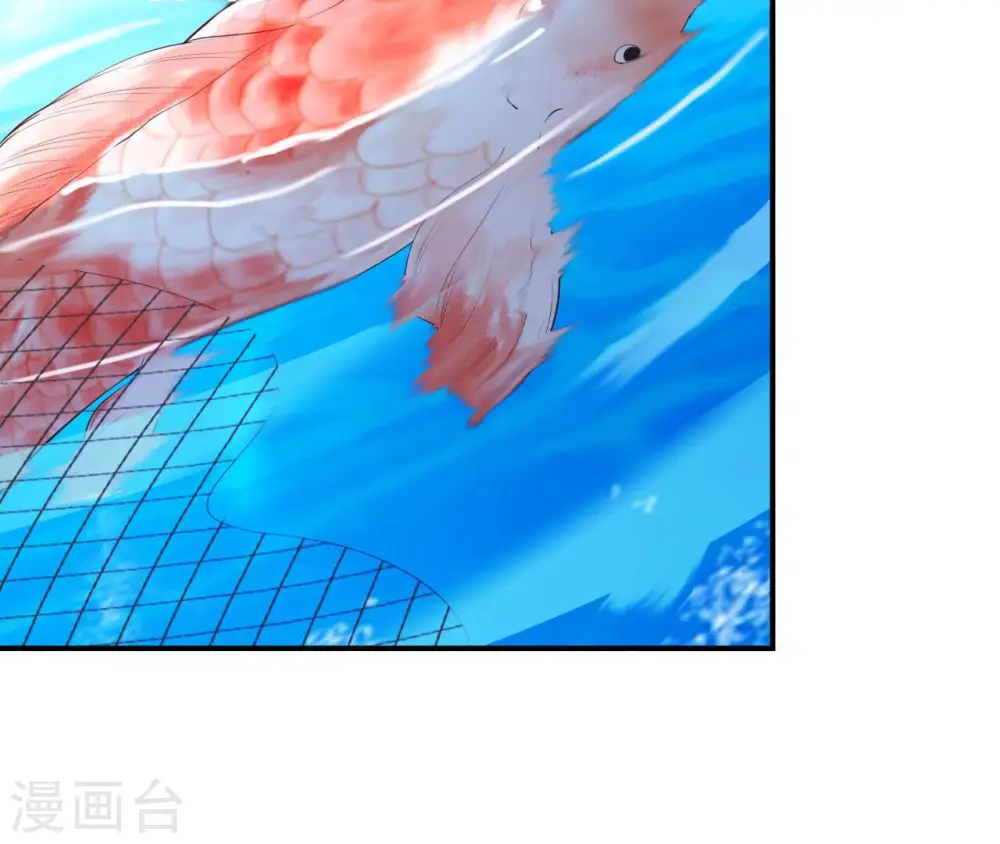 第47话 锦鲤遗珠 第13页