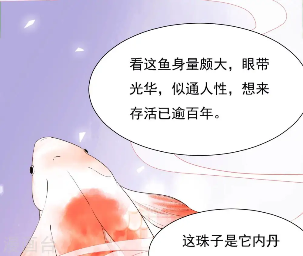 第47话 锦鲤遗珠 第33页