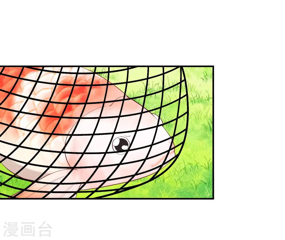 第46话 救下锦鲤 第31页