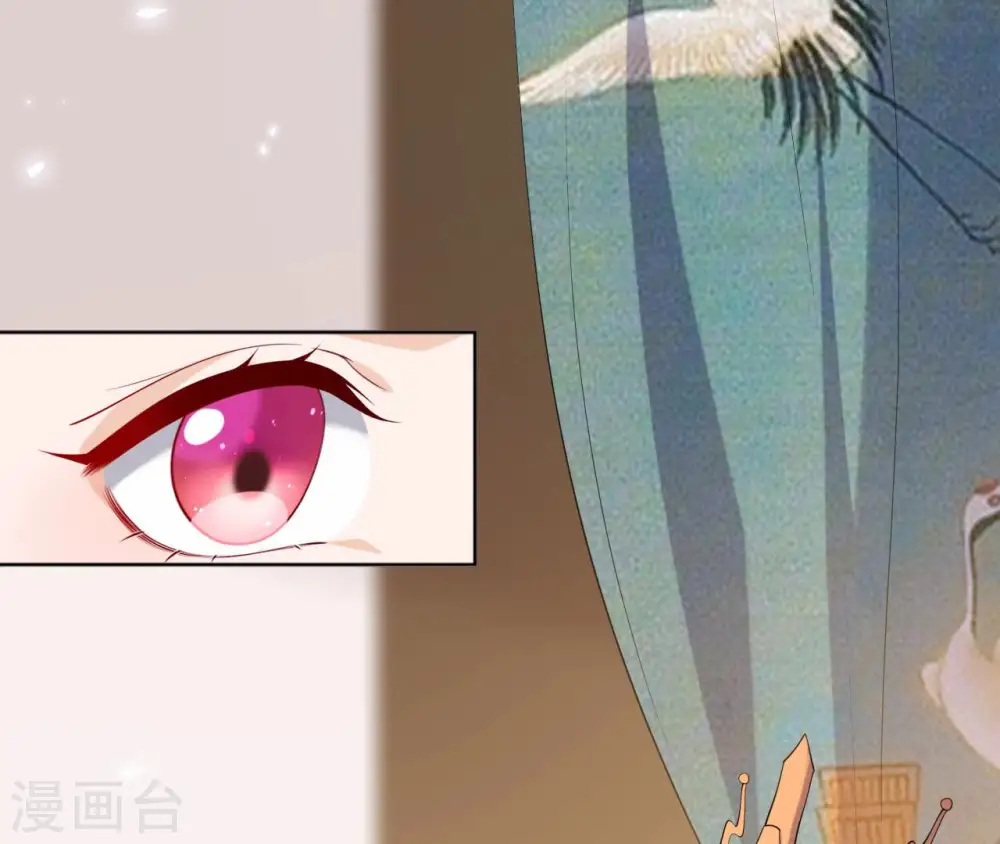 第36话 省亲 第6页