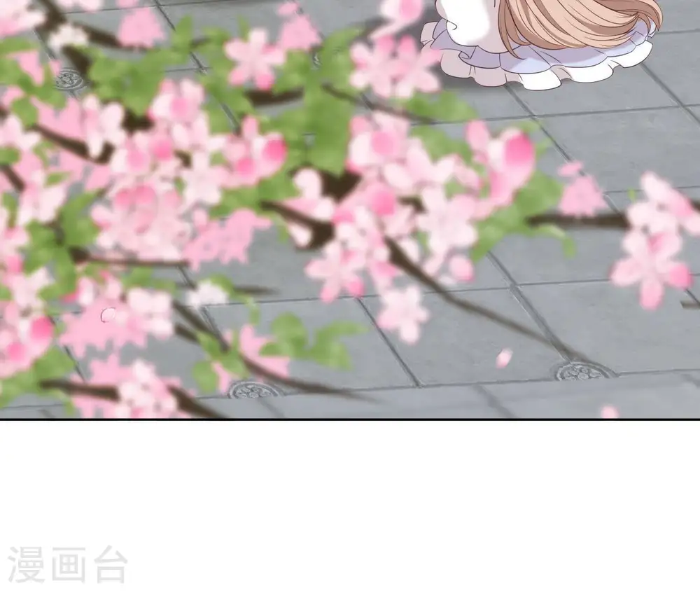 第17话 年妃神逻辑 第5页