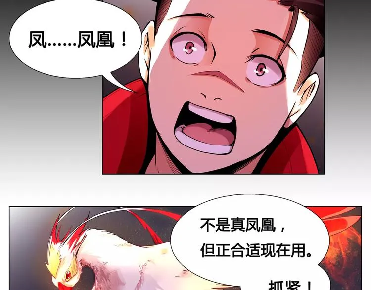 第8话 凤凰 第49页