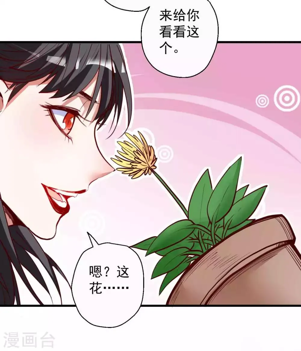 第87话 简单粗暴破禁制 第14页