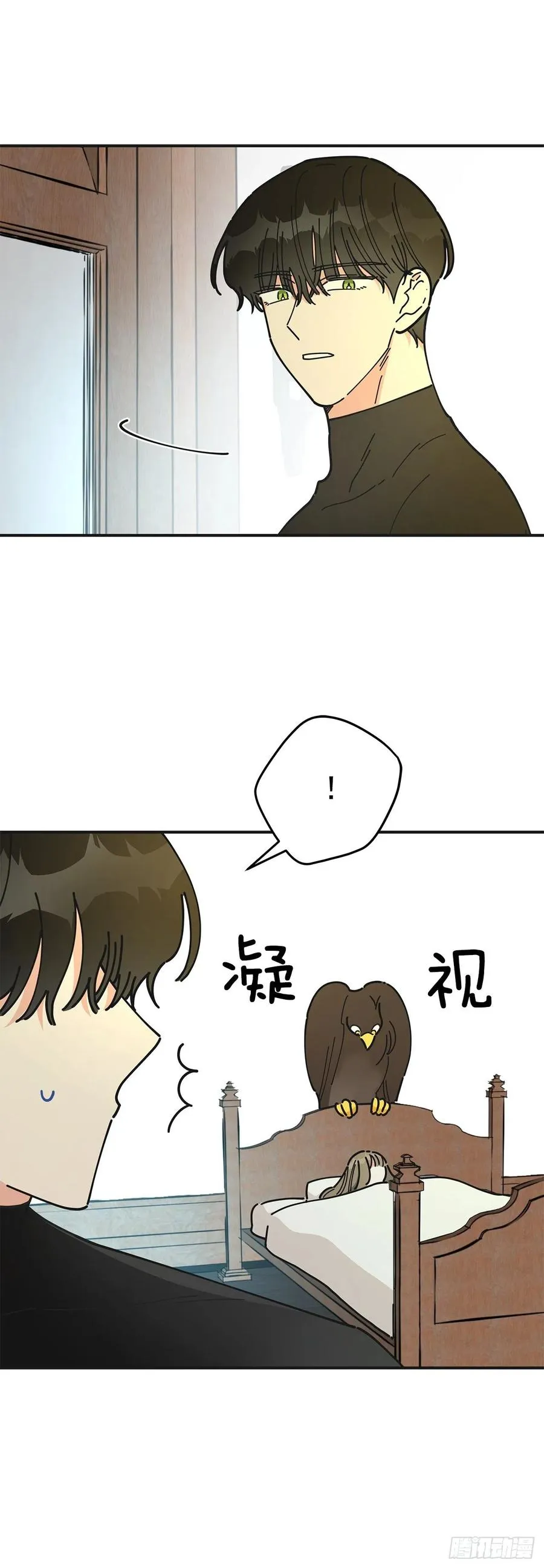 60.前往魔林 第11页