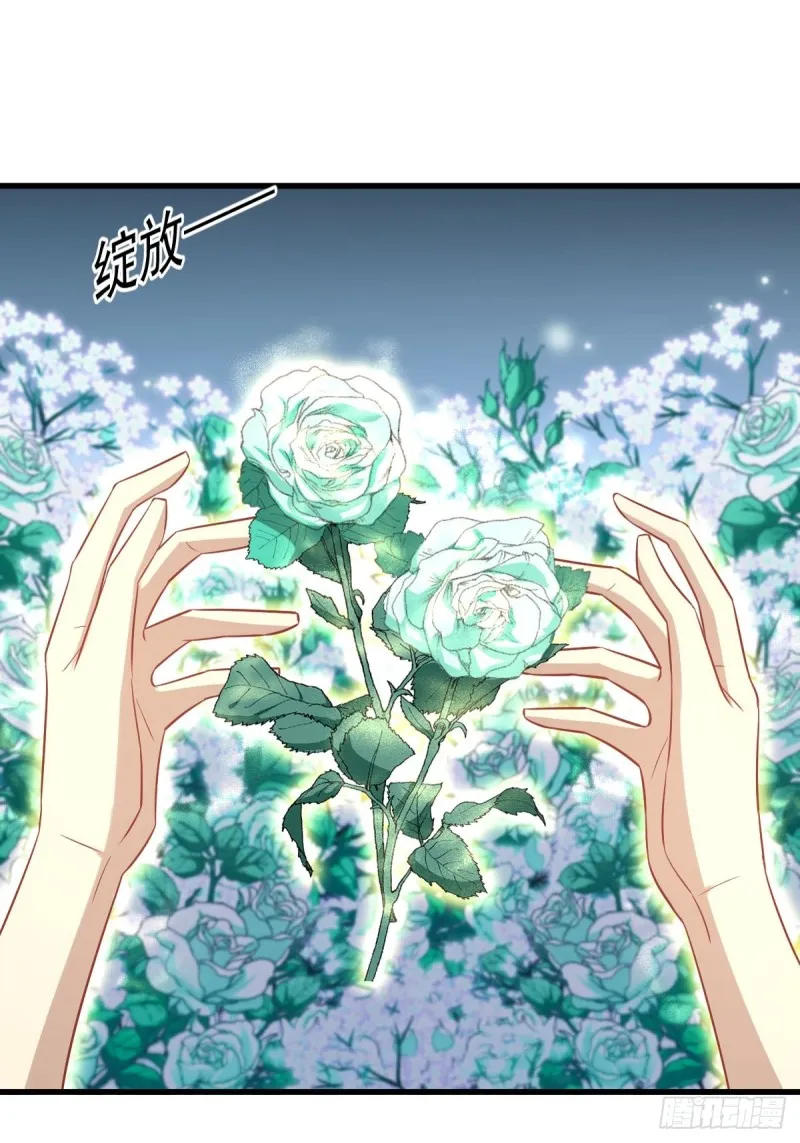第235话 白玫瑰 第14页