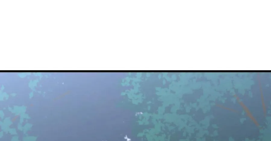 第248话 白家上门 第2页