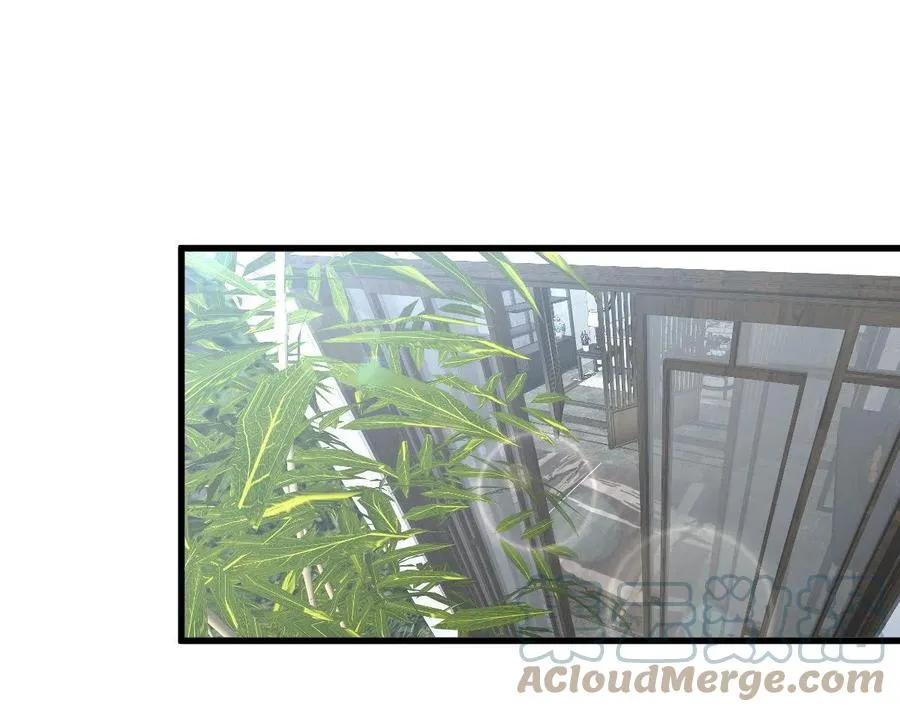 第250话 长老出手 第11页