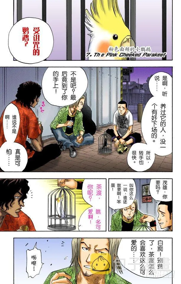 粉色面颊的小鹦鹉 第1页