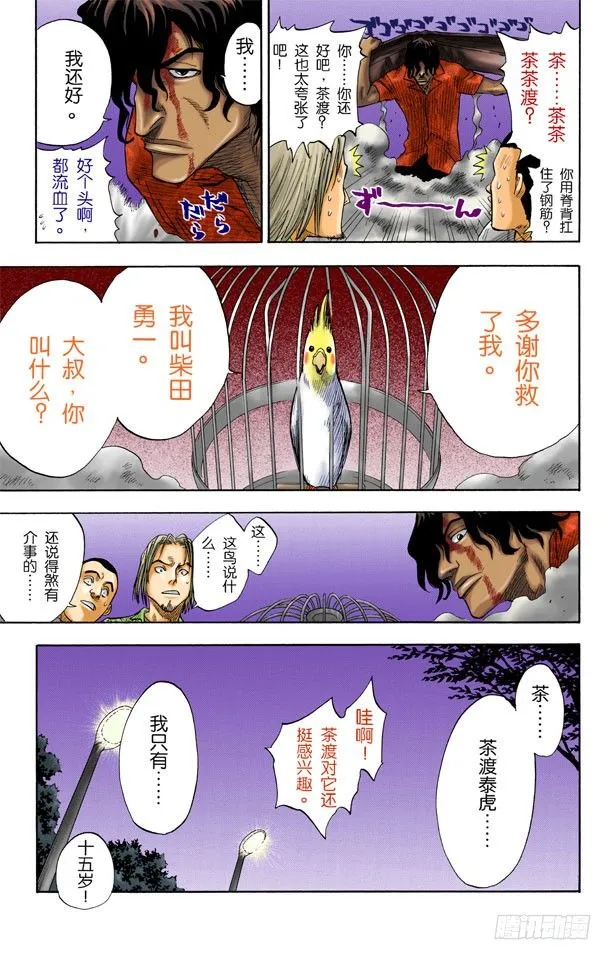 粉色面颊的小鹦鹉 第3页