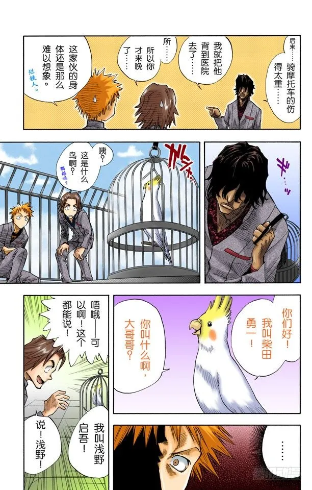 粉色面颊的小鹦鹉 第13页