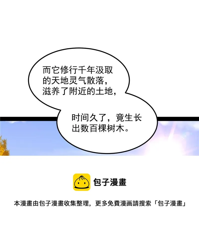 高淼身边第一宠之争 第85页