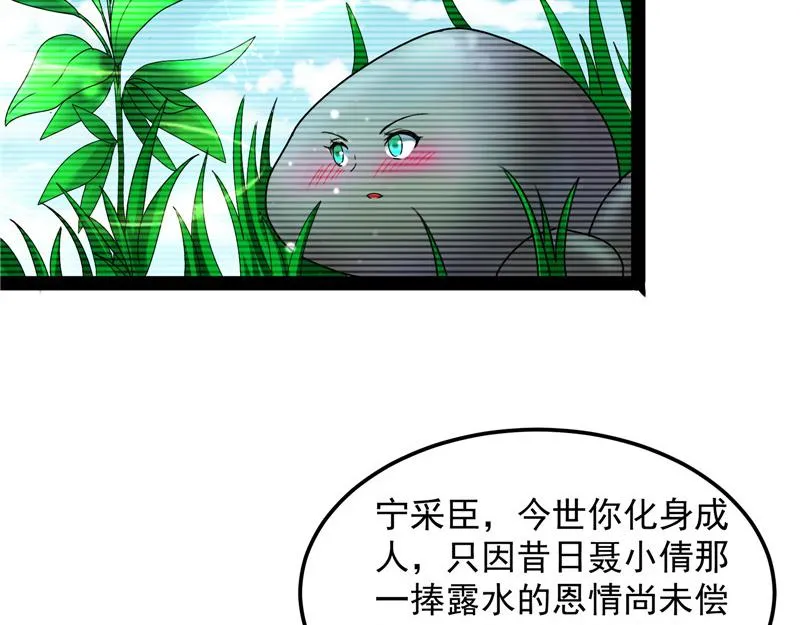 绛珠仙草和神瑛侍者 第73页