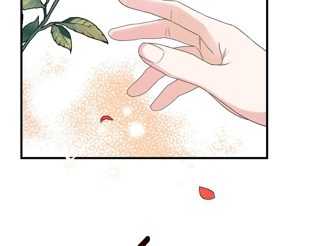第33话 玫瑰 第126页