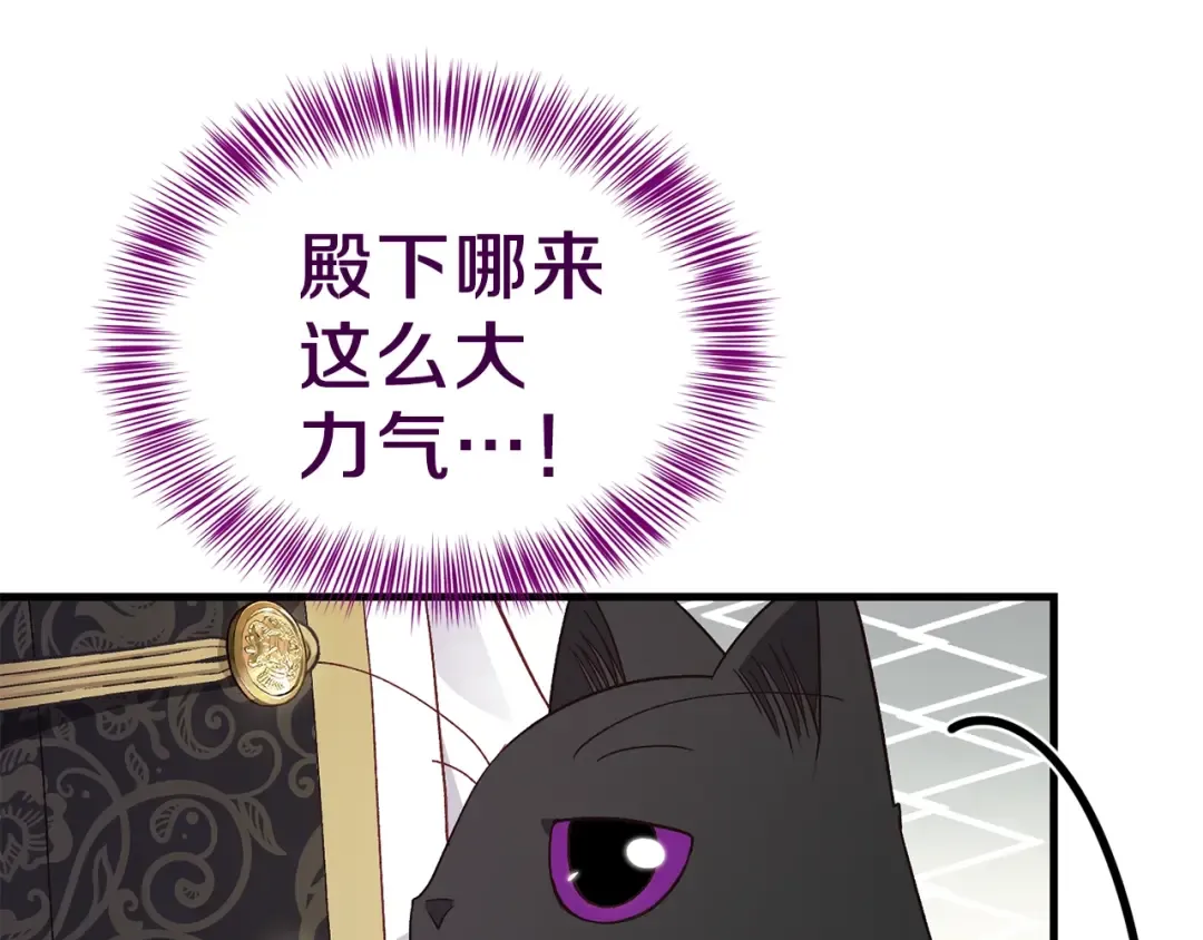第一季完结篇 猫猫惊恐 第6页