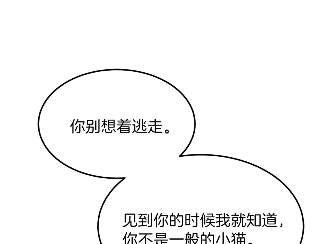 第一季完结篇 猫猫惊恐 第14页