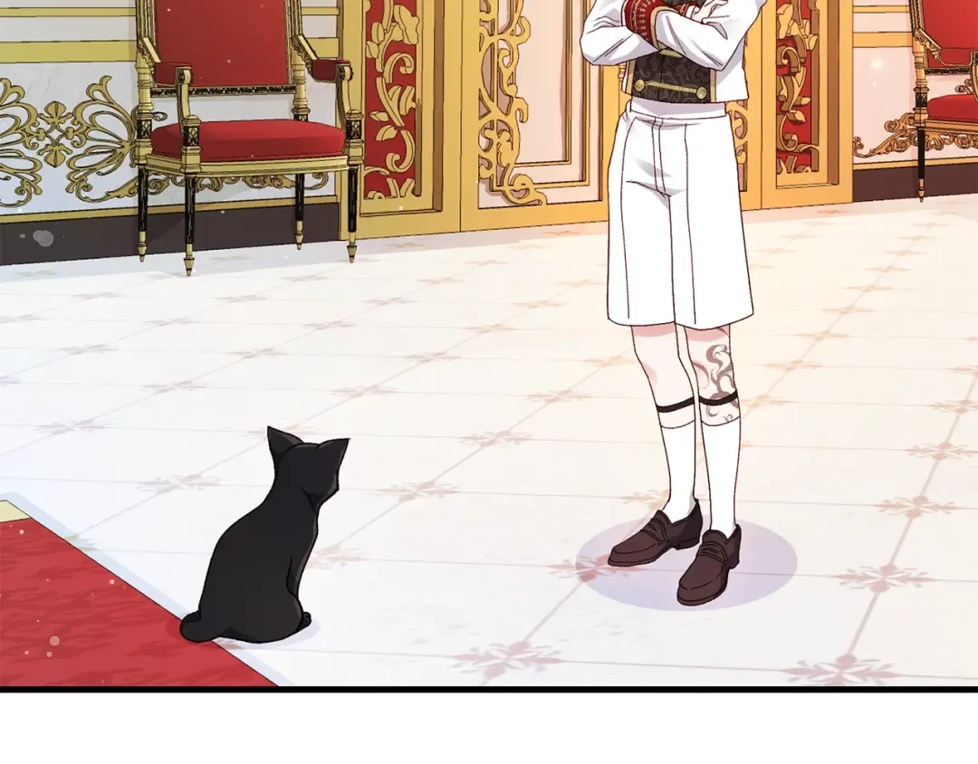 第一季完结篇 猫猫惊恐 第22页