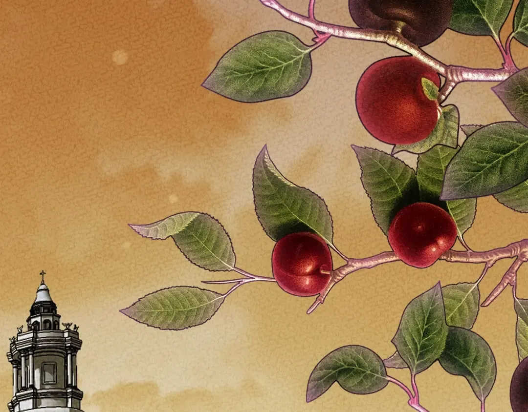 第25话 痛失所爱 第143页