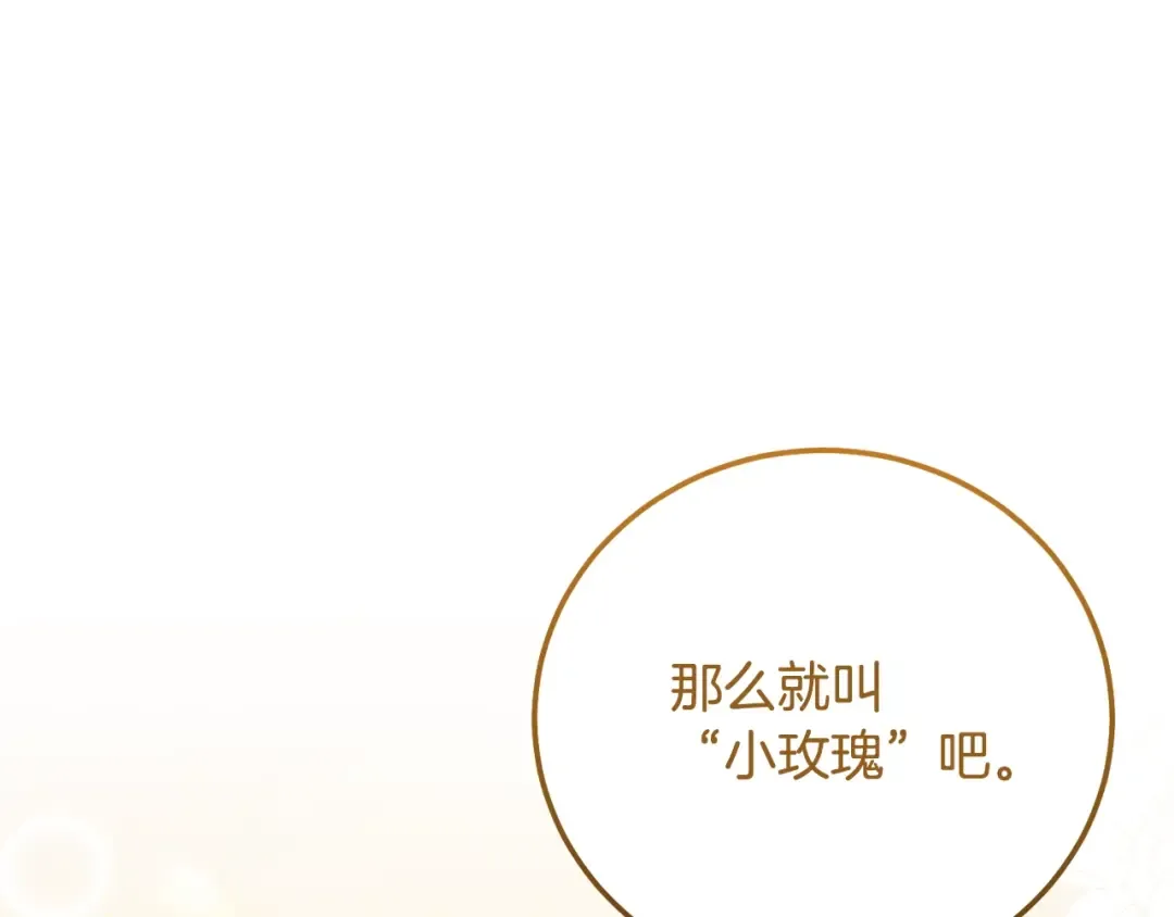 第35话 小玫瑰 第31页