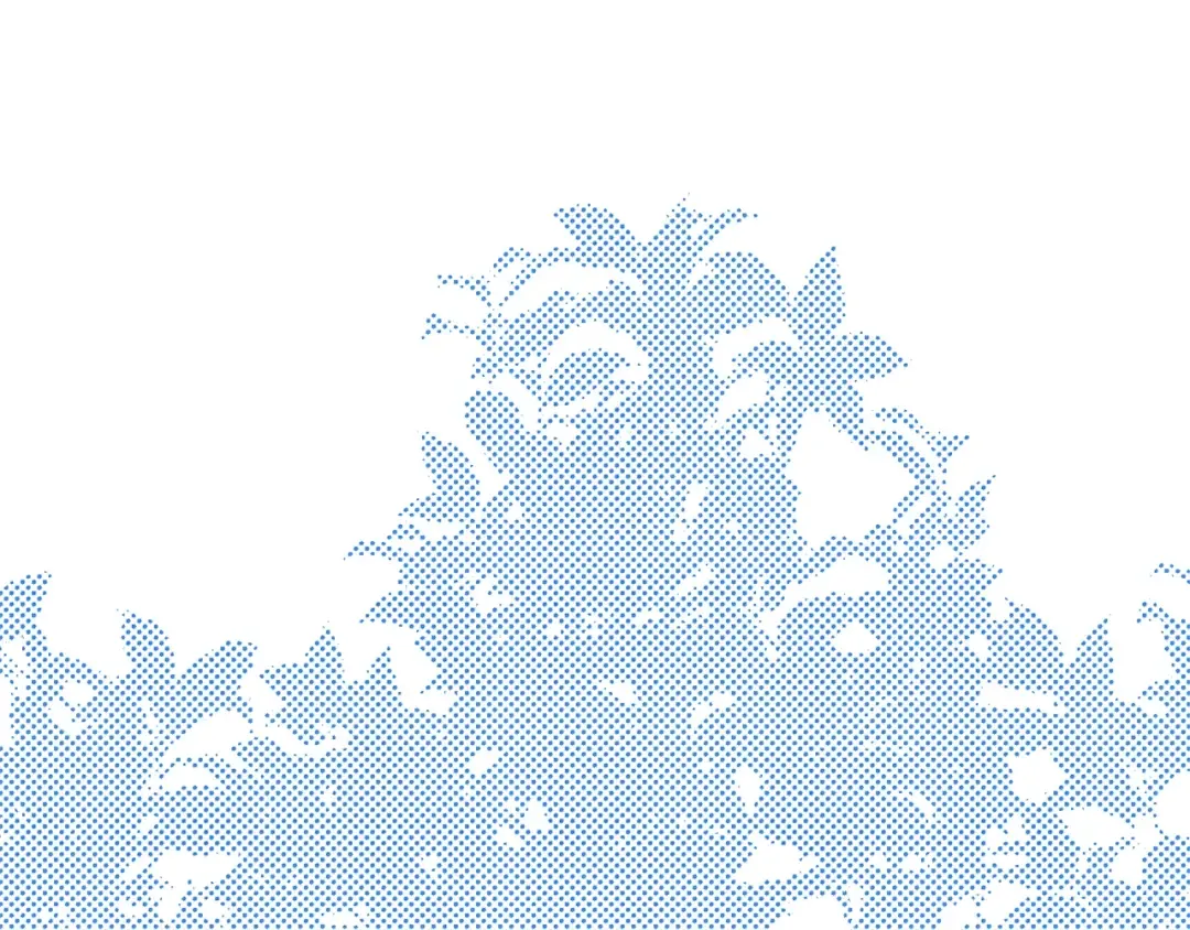 第35话 小玫瑰 第85页
