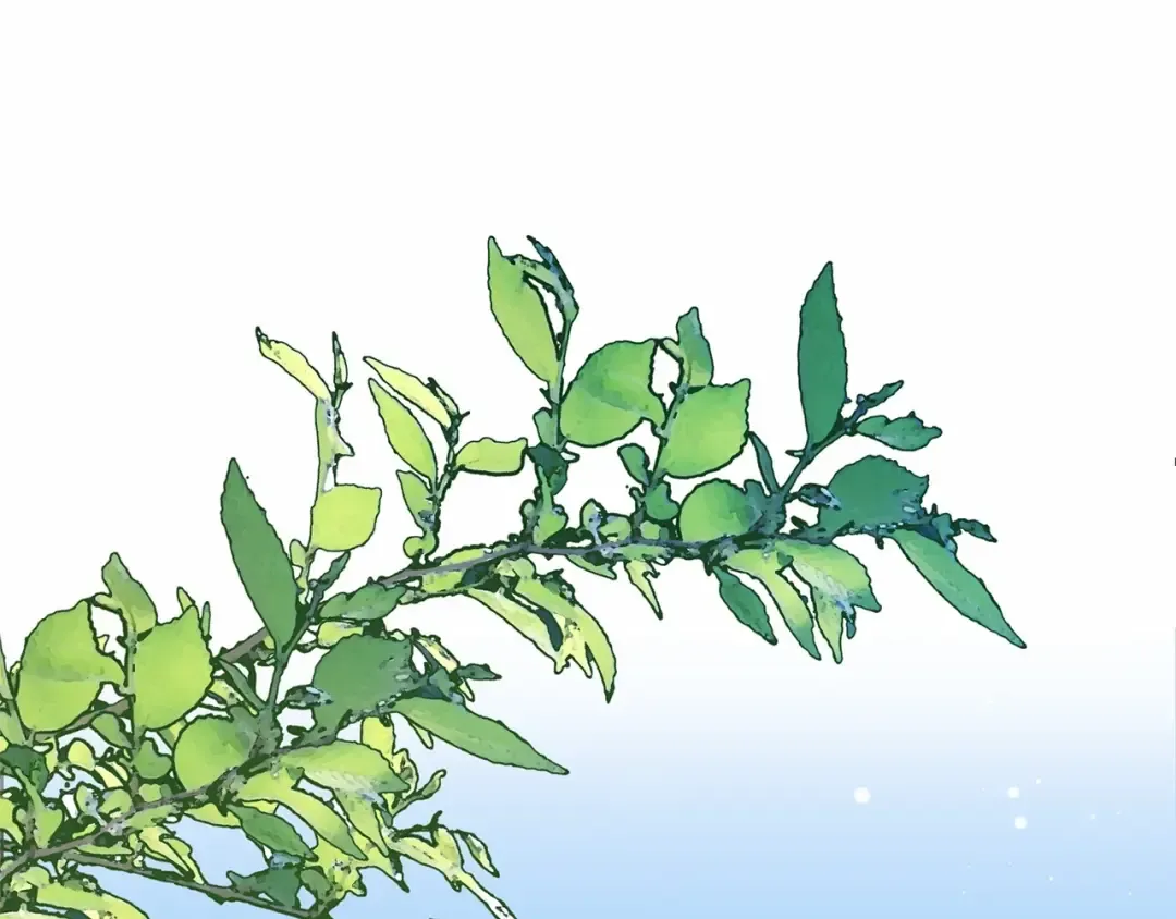 第38话 离开他 第65页
