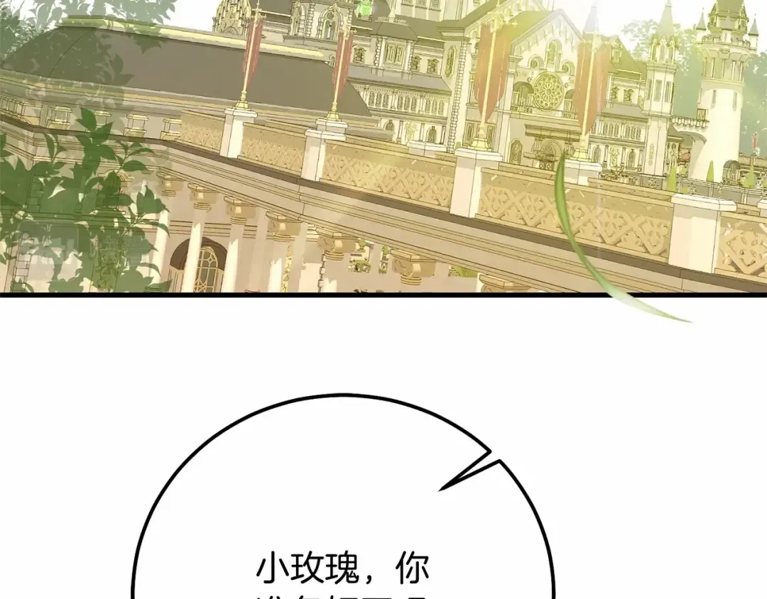 第二季完结篇 另一个皇太子妃？！ 第166页