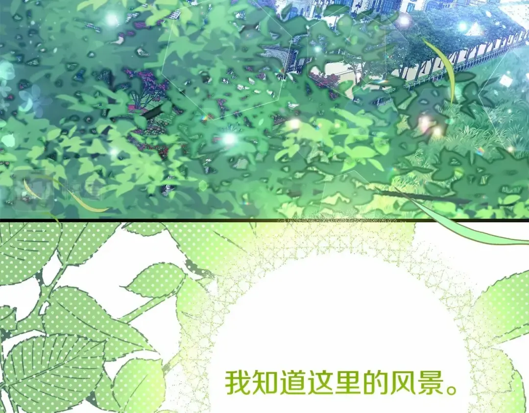 第二季完结篇 另一个皇太子妃？！ 第215页