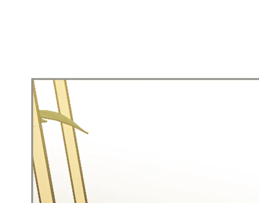 第5话 剥夺太子妃之名？ 第35页