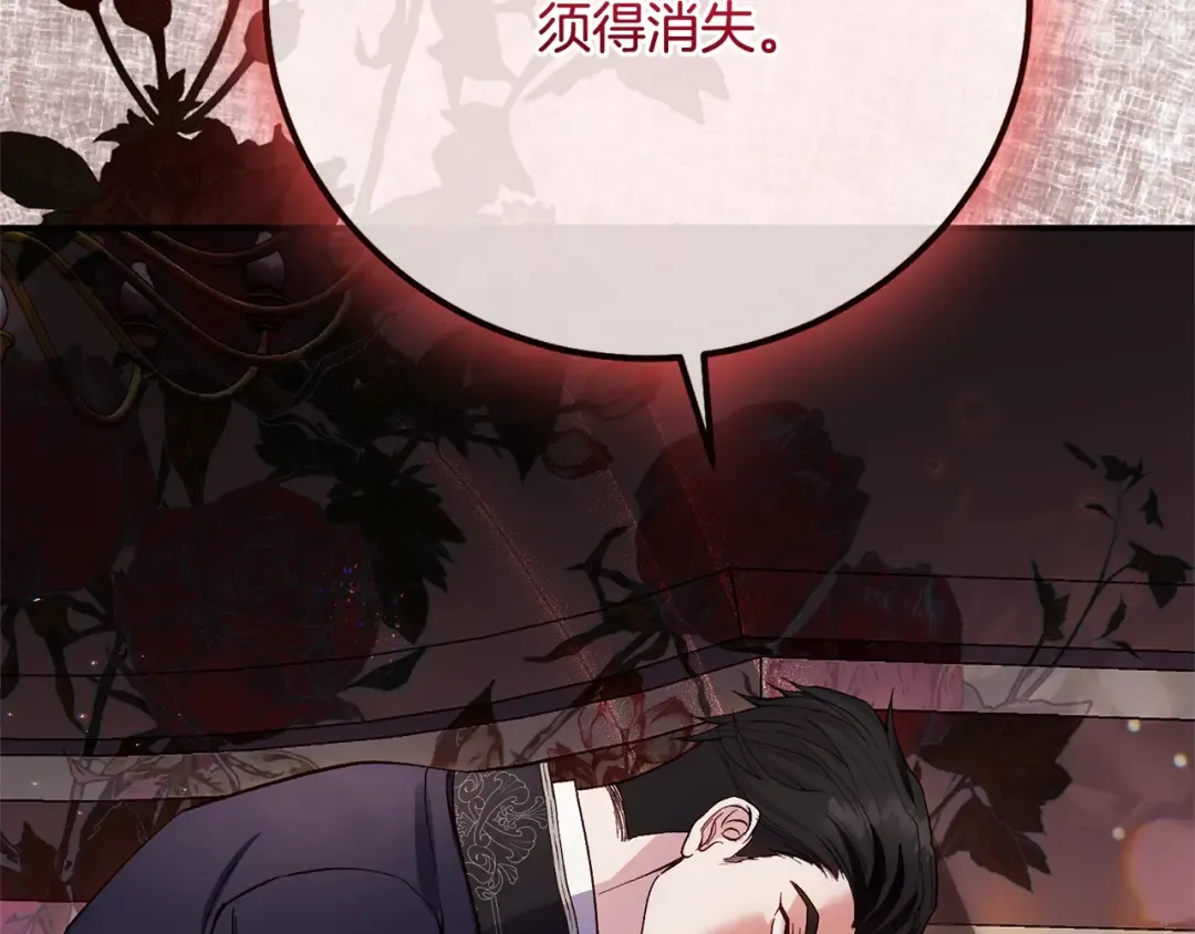 第5话 剥夺太子妃之名？ 第205页