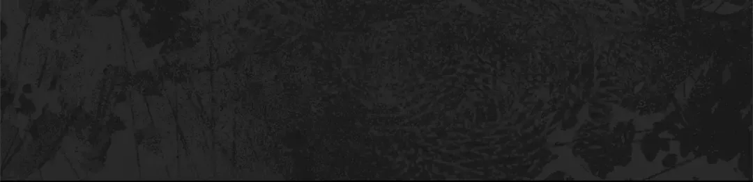 第10话 安诗雅，不要走 第75页