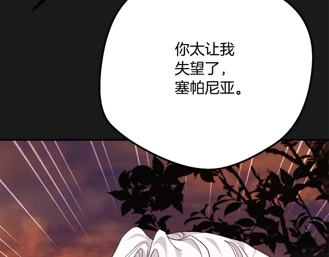 第12话 安诗雅，对不起 第214页