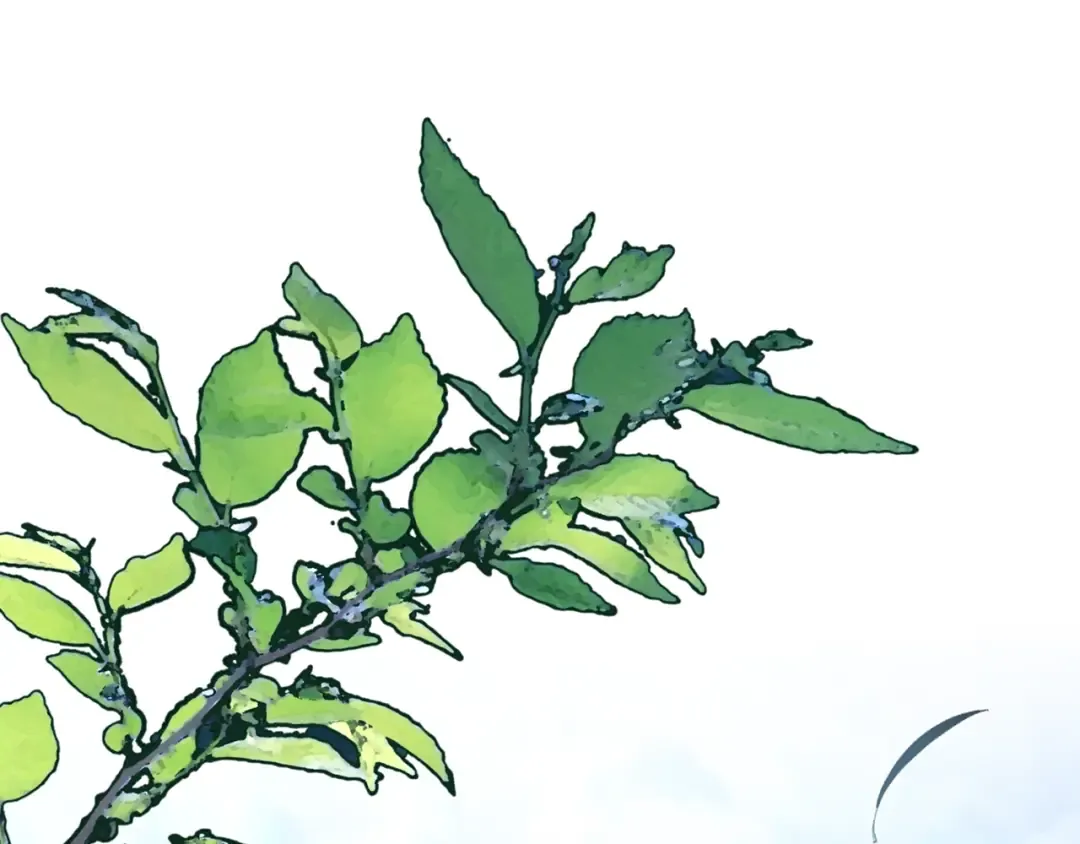 第16话 一起睡？ 第23页