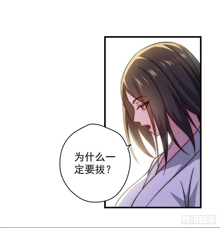 天下第一拍卖会开幕 第14页