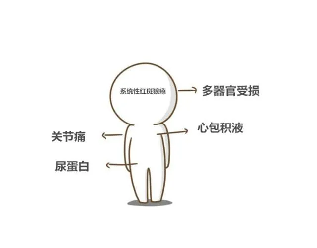 幸福的轮廓（饭桶姑娘） 第7页