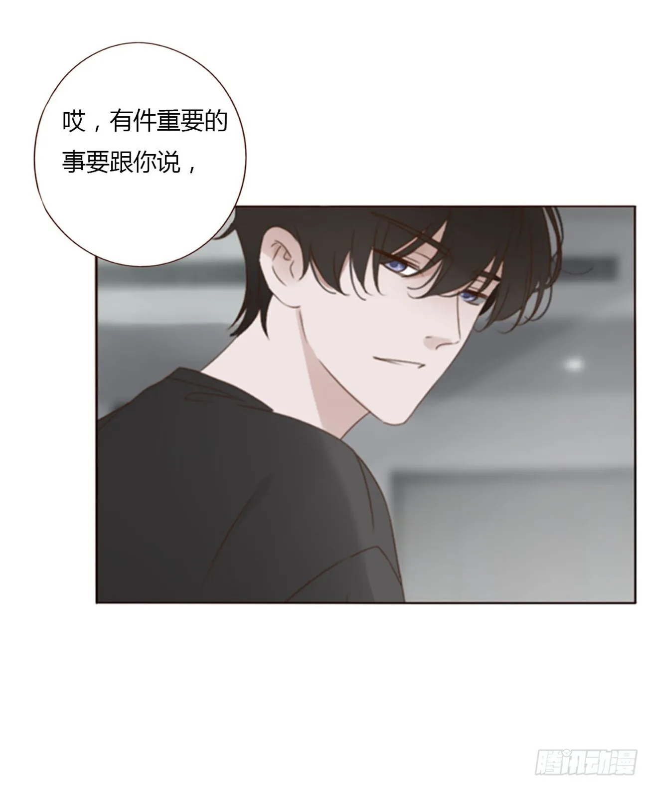 六十八章 千年单身狗 第40页