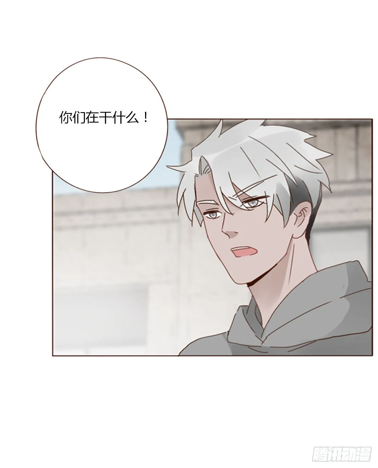 七十章 还是你们好磕 第12页