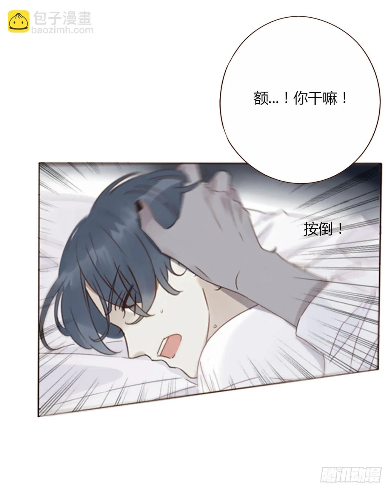 七十二章 官宣 第17页