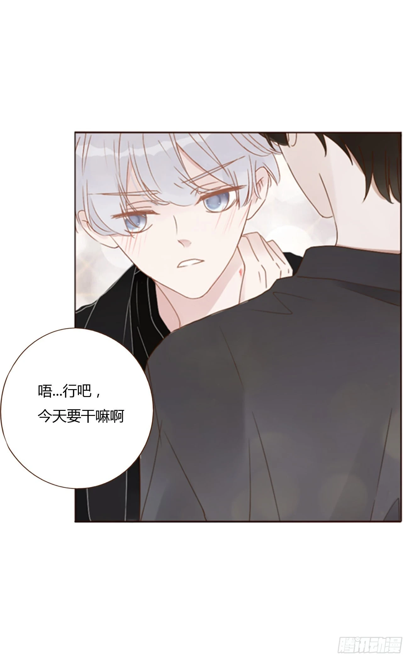 七十六章 找“狗” 第13页
