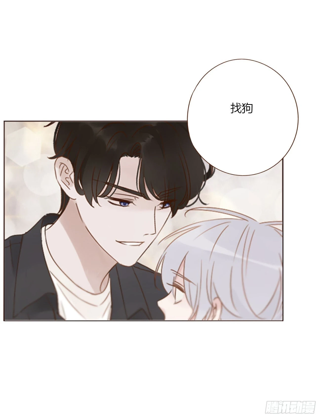 七十六章 找“狗” 第14页
