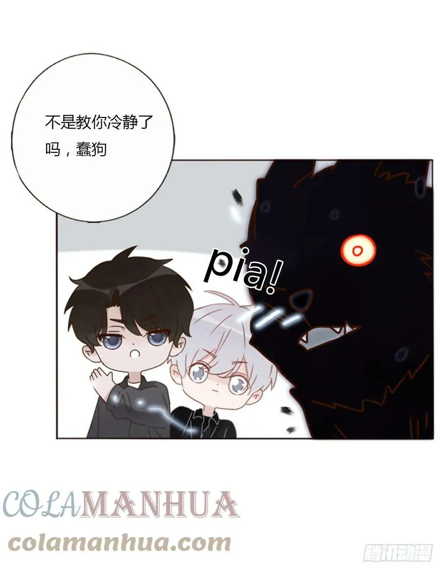 七十七章 地狱犬 第25页