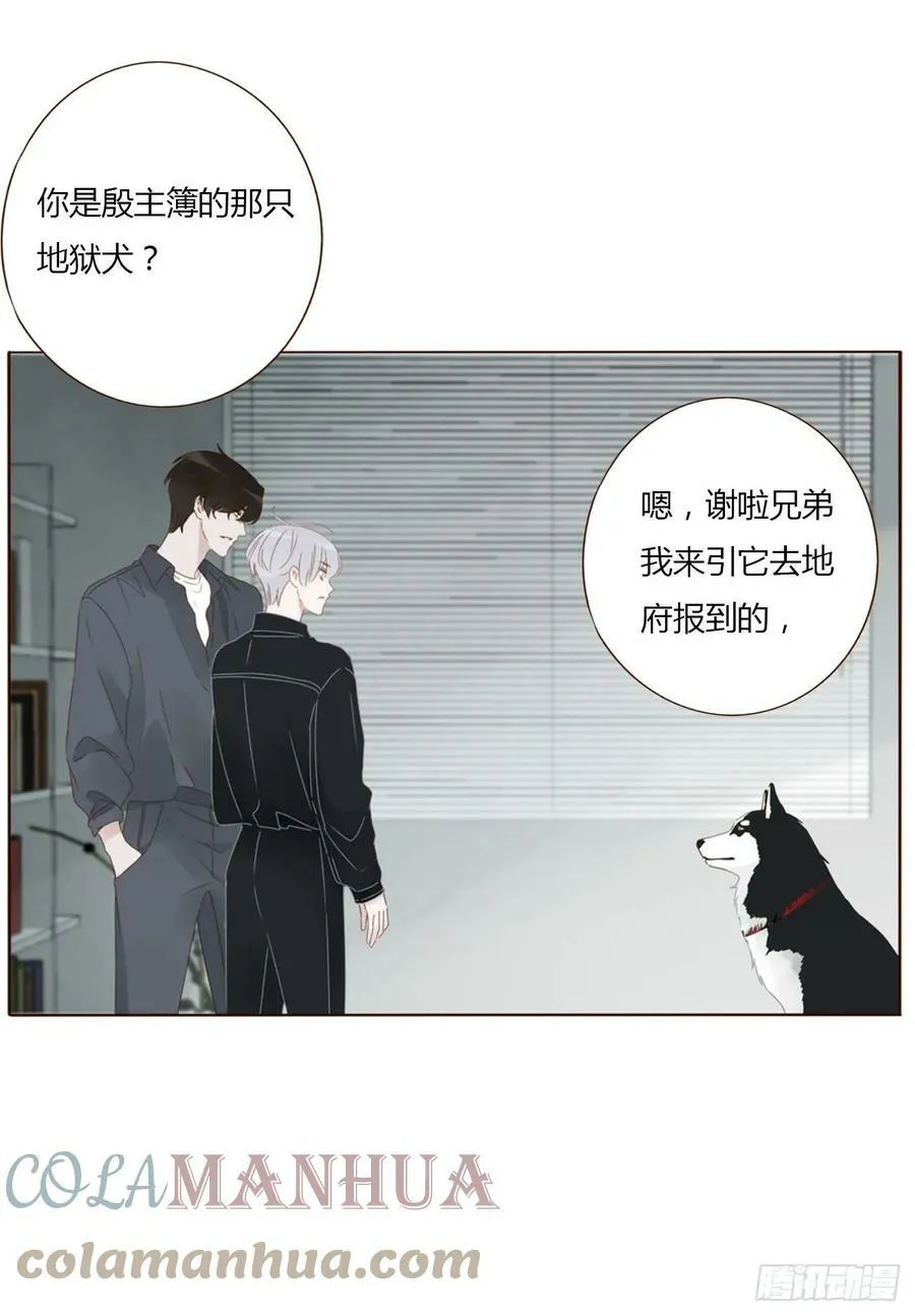 七十七章 地狱犬 第31页