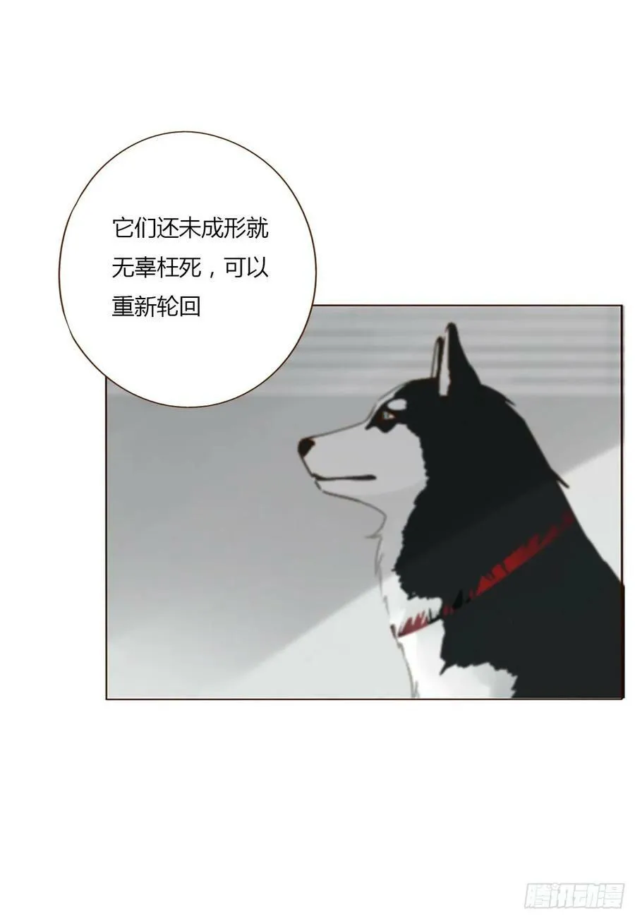 七十七章 地狱犬 第36页