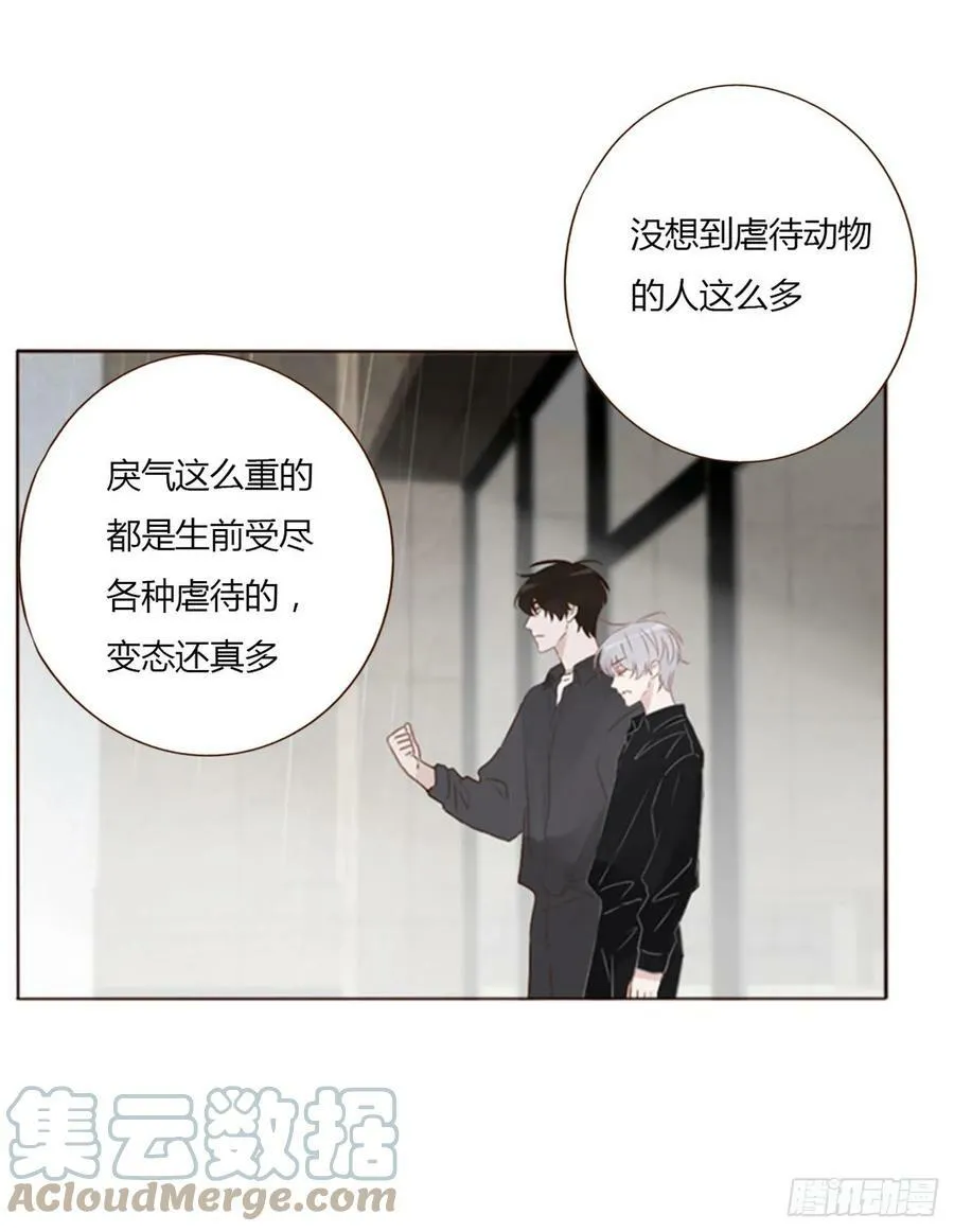七十八章 热身运动 第7页