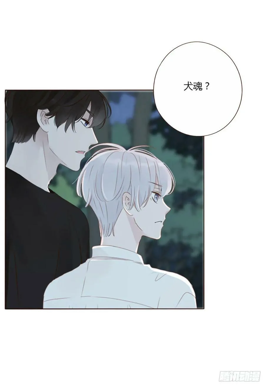 八十一章 然然的前世2 第11页