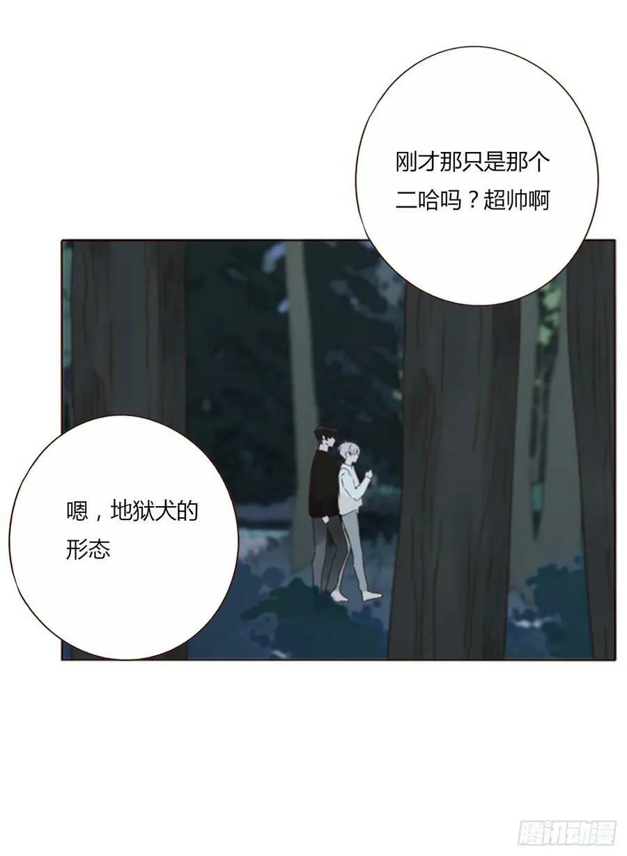 八十一章 然然的前世2 第14页