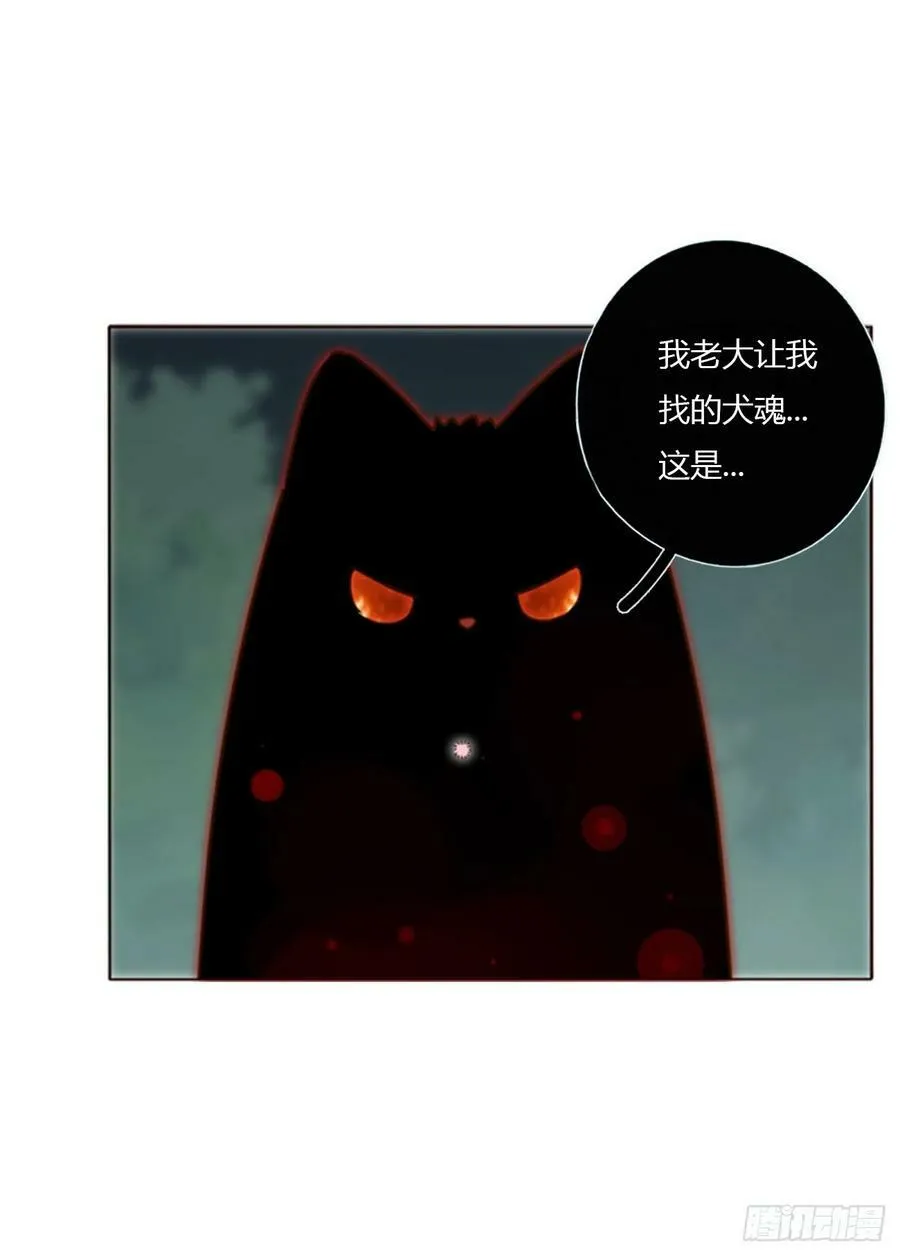 八十一章 然然的前世2 第24页