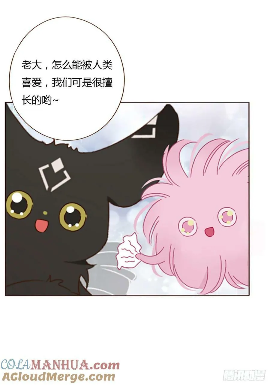 八十一章 然然的前世2 第34页