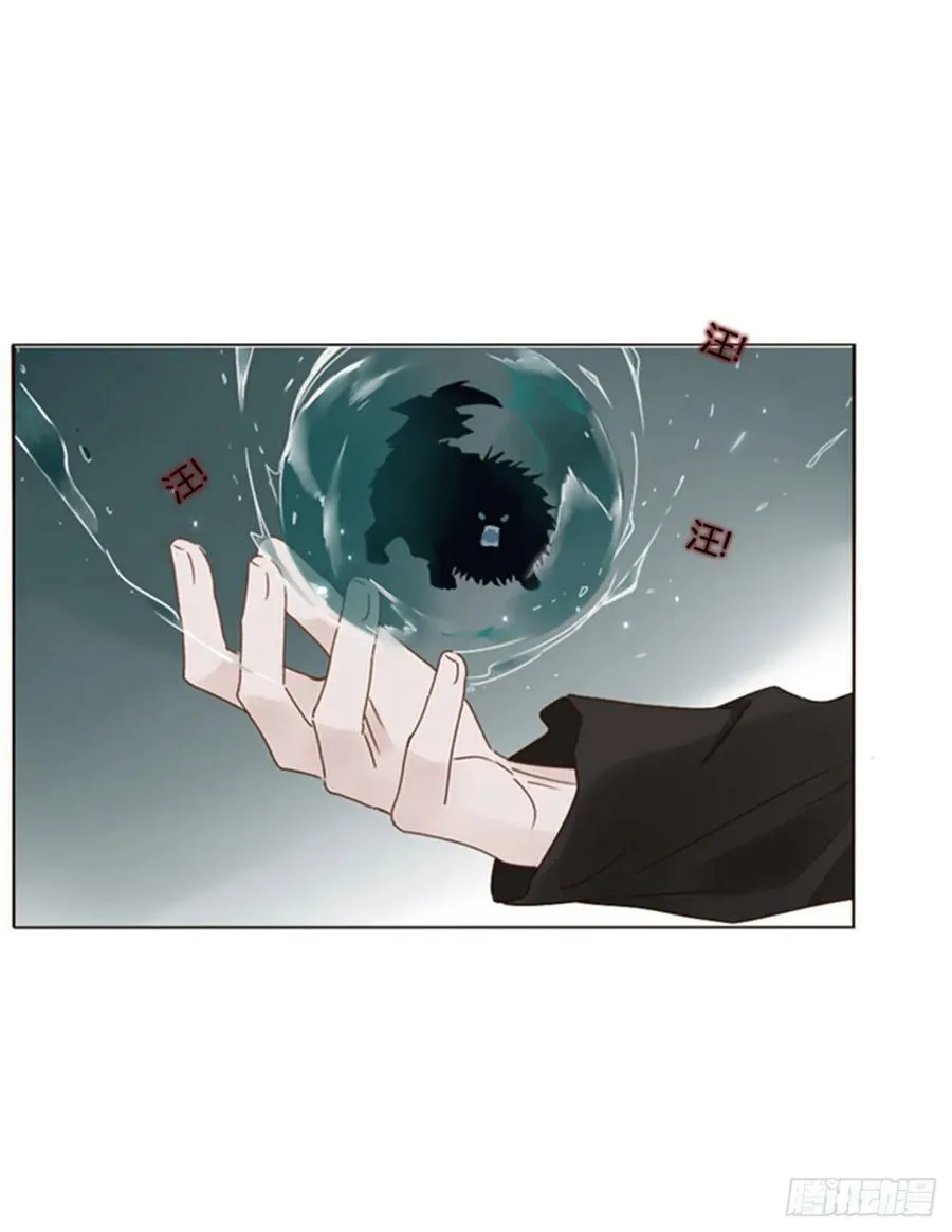 八十二章 然然的前世3 第33页